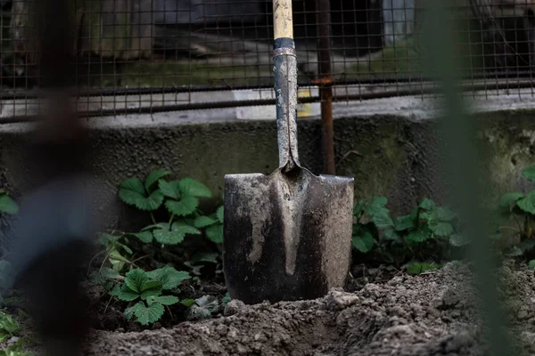 Yere saplanmış bir küreğin yakın çekimi.