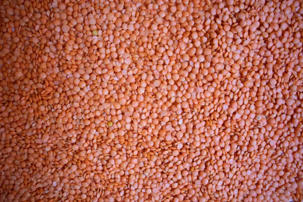 Orange Yellow Seeds Texture — стоковое фото