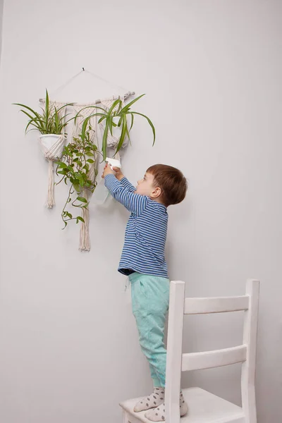 Enfant Prend Soin Plante Maison Garçon Pulvérise Des Plantes Dans — Photo