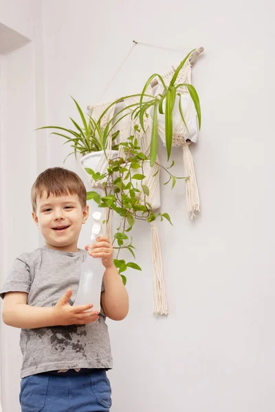 这个孩子照顾家里的植物 一个男孩在花瓶里喷洒植物 孩子在家里照料植物 用喷雾枪向植物喷洒干净的水 — 图库照片