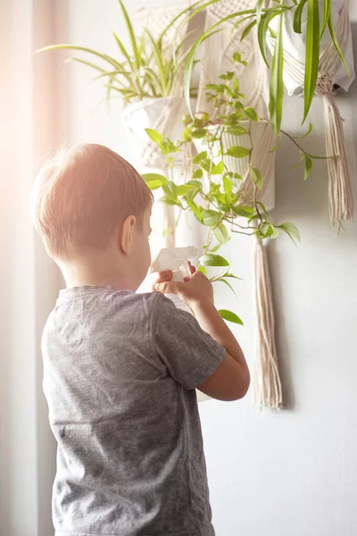 Enfant Prend Soin Plante Maison Garçon Pulvérise Des Plantes Dans — Photo