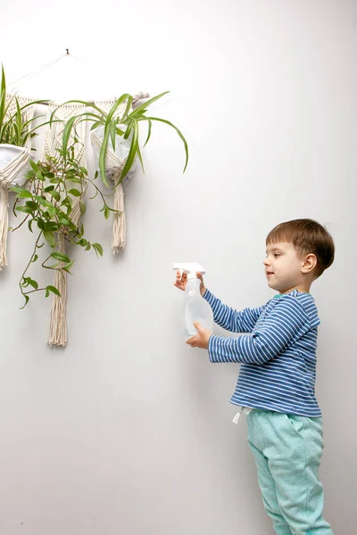 Enfant Prend Soin Plante Maison Garçon Pulvérise Des Plantes Dans — Photo