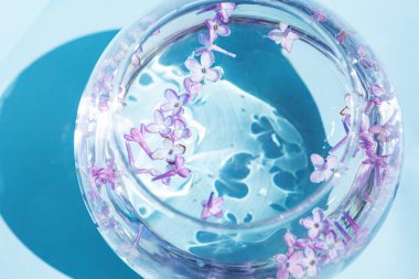 Leylak çiçekleri suda yüzer. Cam vazoda mor ve pembe çiçekler. Mavi bir arkaplanda