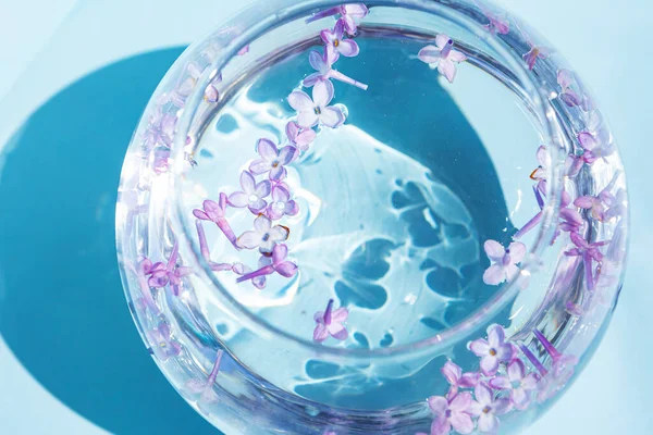 Leylak çiçekleri suda yüzer. Cam vazoda mor ve pembe çiçekler. Mavi bir arkaplanda