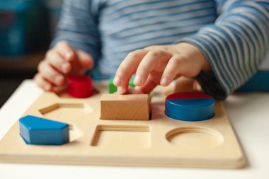 Eğitici oyuncaklar, bilişsel yetenekler, Montessori aktiviteleri. Yakın plan: Renkleri, şekli, sıralamayı öğrenen renkli ahşap duyusal bloklara göre düzenleyen küçük bir Montessori çocuğunun elleri.