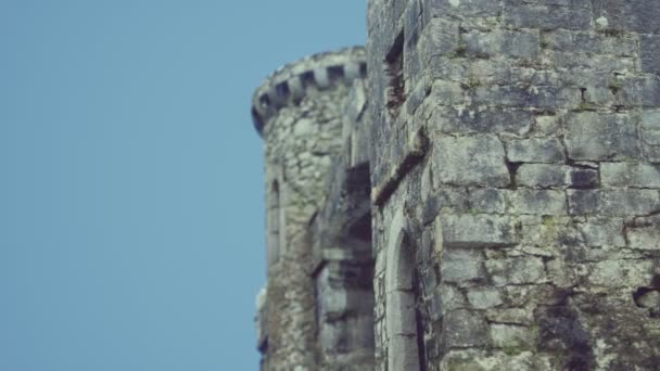O incrível Castelo Menlo na Irlanda — Vídeo de Stock
