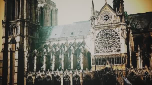 Notre Damm de Paris — Stockvideo