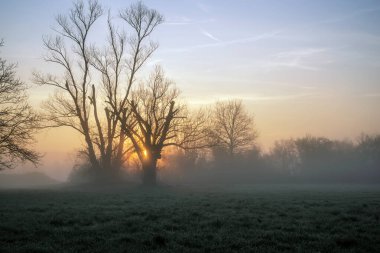Sonnenaufgang im Maerz ber den Streuobstwiesen im Kahlgrund.