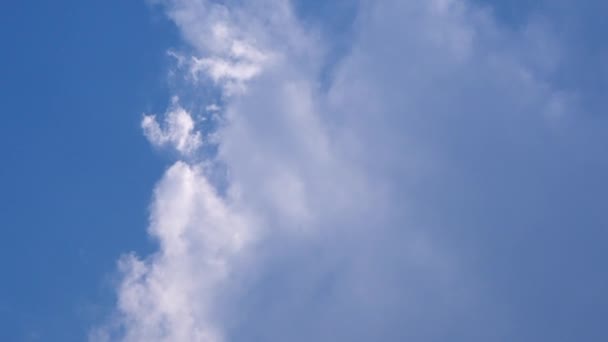 雲のアルトストラタス青灰色のシートは 昼間の青空に空をカバーしています — ストック動画