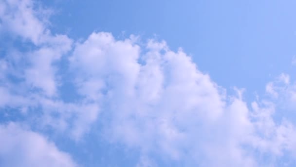 Las Hojas Nubes Color Gris Azulado Altostratus Cubren Cielo Cielo — Vídeo de stock