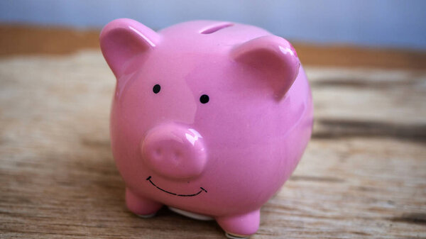 piggy bank in white background, saving money for investment concept. copy space
