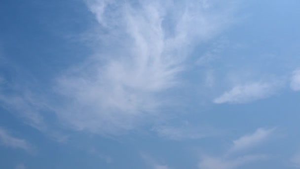 Nubes Blancas Con Forma Pluma Que Mueven Izquierda Derecha Cielo — Vídeos de Stock