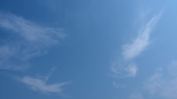 Nubes Blancas Con Forma Pluma Que Mueven Izquierda Derecha Cielo — Vídeos de Stock