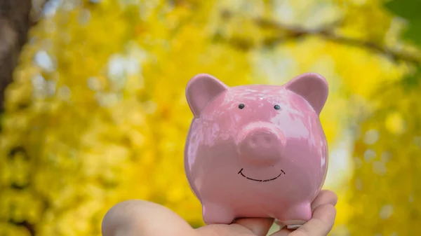 piggy bank in beautiful yellow flower background. piggy bank in spring sunny day. saving money for investment in future concept.