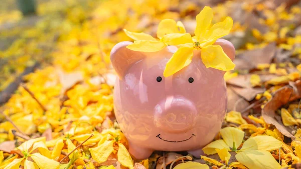 Sparschwein Schönen Gelben Blumenhintergrund Sparschwein Sonnigen Frühlingstag Geld Für Investitionen lizenzfreie Stockfotos