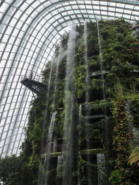 Ciudad Del Singapur Singapur Enero 2018 Dentro Cúpula Del Bosque —  Fotos de Stock