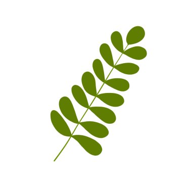  Botanik yaprakları. Çiçek tasarım elementleri. İzole edilmiş beyaz arkaplanda vektör illüstrasyonu. 