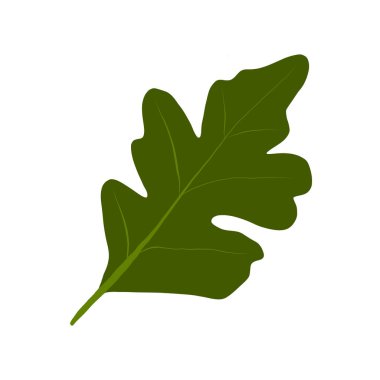  Botanik yaprakları. Çiçek tasarım elementleri. İzole edilmiş beyaz arkaplanda vektör illüstrasyonu. 