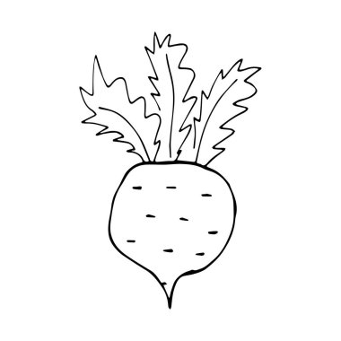 Sebze karalama koleksiyonu.