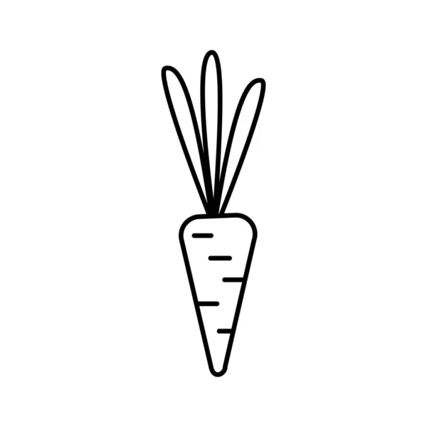 Векторный силуэт моркови на белом фоне, здоровое и сбалансированное питание — стоковый вектор