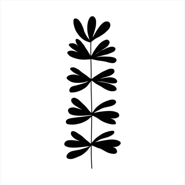 Black tropical leaf silute on an isolated white background. Botanical tree branches, palm leaf on the stem. — Stock Vector