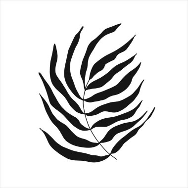 İzole edilmiş beyaz arka planda siyah tropikal yaprak silüeti. Botanik ağaç dalları, sapında palmiye yaprağı..