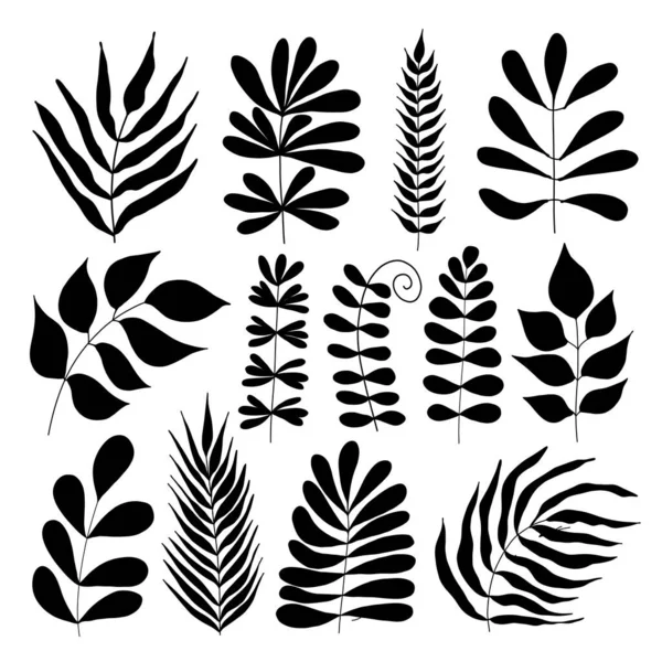 Set of black silhouettes of tropical leaves on an isolated white background. — Stock Vector