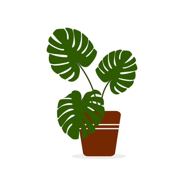 Grüne Zimmerpflanze im Blumentopf in braun auf isoliertem weißem Hintergrund. — Stockvektor