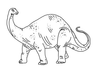 Tarzlanmış otçul dinozor boyama sayfası diplodocus izole edilmiş beyaz arka planda.