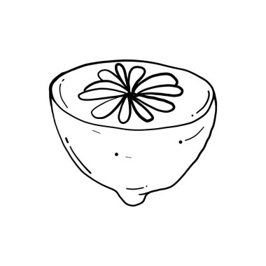 İzole edilmiş beyaz arka plana dökmeden elle çizilmiş limon.