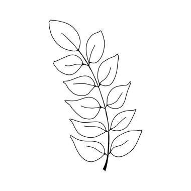  Yapraklarla dolu. Botanik illüstrasyon. Siyah beyaz işlemeli mürekkep sanatı..