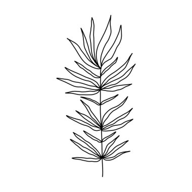  Yapraklarla dolu. Botanik illüstrasyon. Siyah beyaz işlemeli mürekkep sanatı..