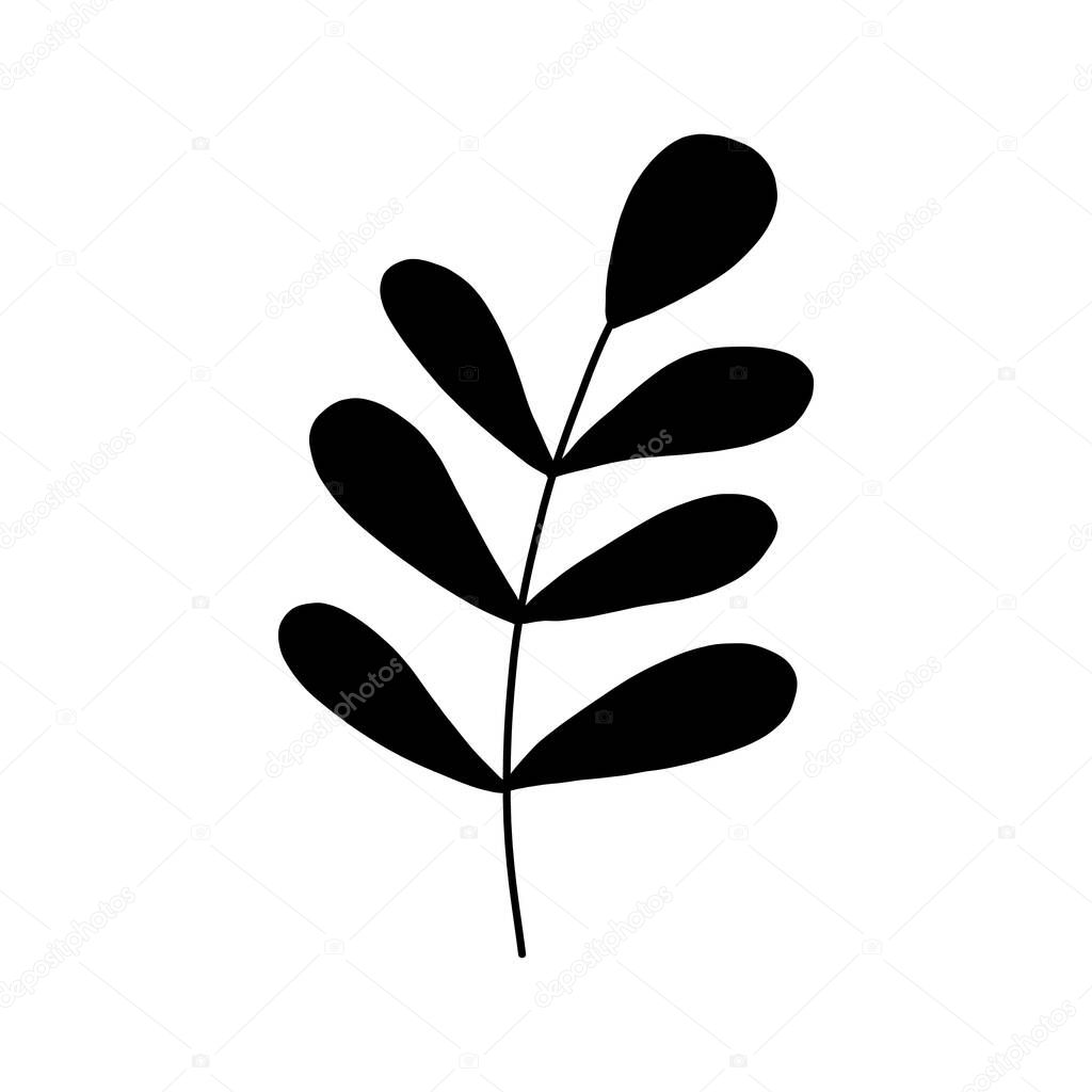 Black tropical leaf silute on an isolated white background. Botanical tree branches, palm leaf on the stem. Spring summer leaf. Concept design logo icon for the application. Vector illustration.