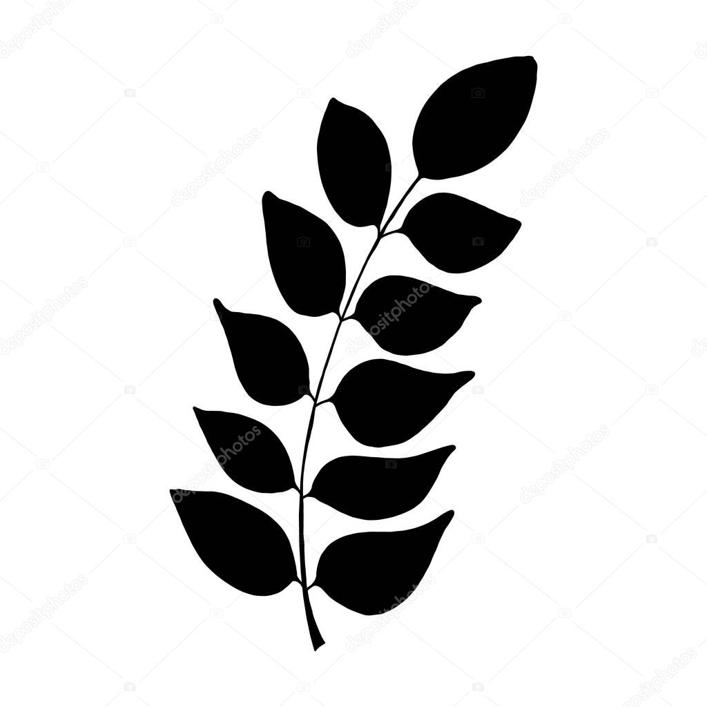 Black tropical leaf silute on an isolated white background. Botanical tree branches, palm leaf on the stem. Spring summer leaf. Concept design logo icon for the application. Vector illustration.