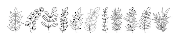 Набір чорних силуетів тропічного листя на ізольованому білому тлі . — стоковий вектор