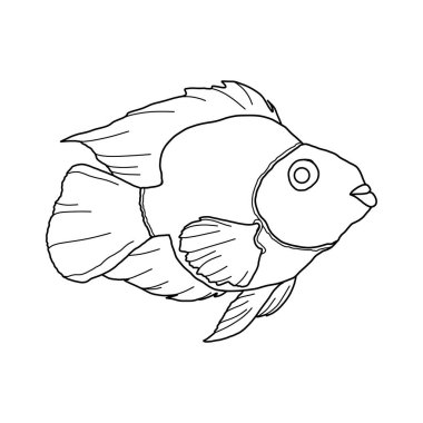 Çocuklar ve yetişkinler için renkli balıklar