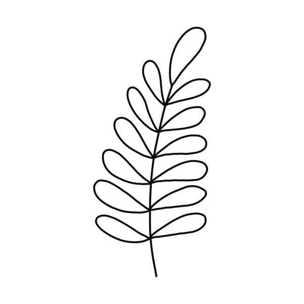 Set con hojas. Ilustración botánica. Arte de tinta grabada en blanco y negro . — Archivo Imágenes Vectoriales
