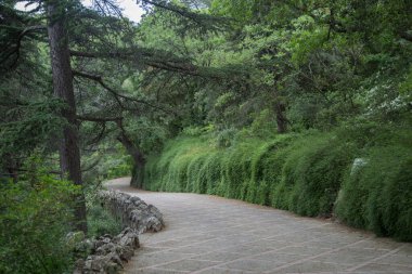 Kırsal kesimde güzel bakımlı bir park. Birlikte güzel yürüyüşler yapmak için.