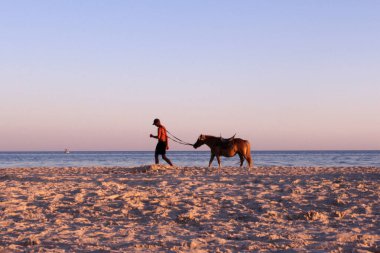 İnsan ve atı kumsalda yürüyor. Akşam yazı. Gün batımı zamanı. Günün sonunda binicilik. Karadeniz.