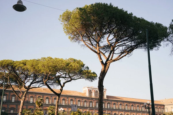 Neapel Italien Oktober 2020 Vacker Utsikt Över Neapels Gator Italien — Stockfoto