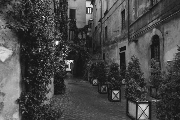 Roma, İtalya - 28 Ekim 2020 / Roma turistik manzarası