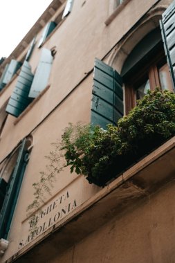 Tarihsel kasaba mimarisi görüşü