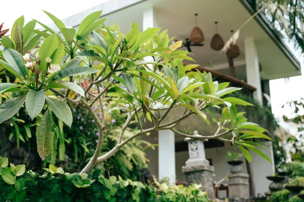 Bali, Endonezya 'da Villa, 2 Şubat 2020