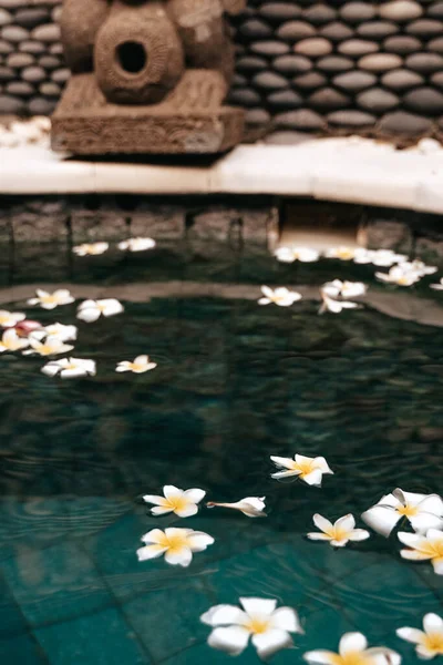 Tesisat, beyaz ve sarı çiçekler