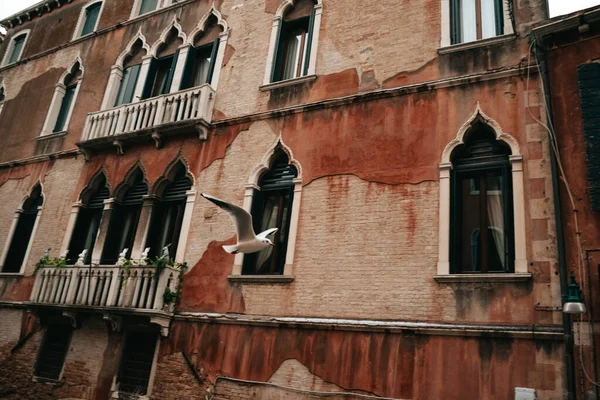 Tarihsel kasaba mimarisi görüşü