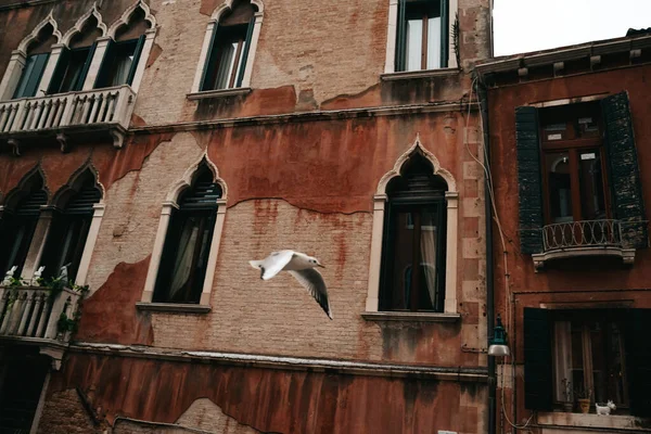 Tarihsel kasaba mimarisi görüşü