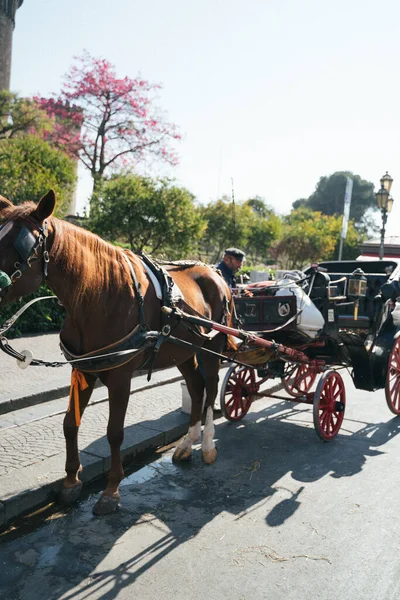 Napoli, İtalya - 26 Ekim 2019