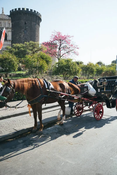 Napoli, İtalya - 26 Ekim 2019