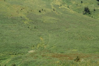 Plato lago naki 'nin karlı yaz manzarası. Güzel bulutlar ve dağ mavi bir sis içinde.