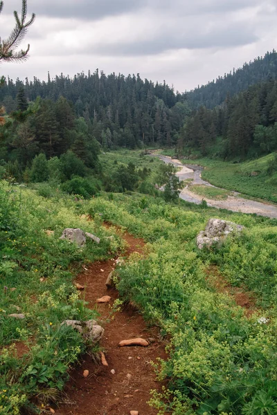 Molochka nehrinin kaynağı Kurjips 'e akan Lagonaki yaylası..